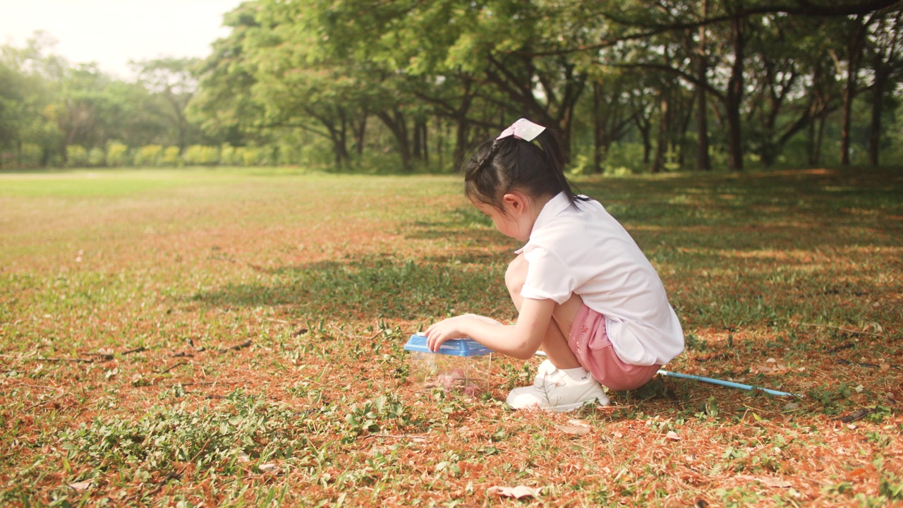 一个女孩在公园周围散步和探索大自然视频下载
