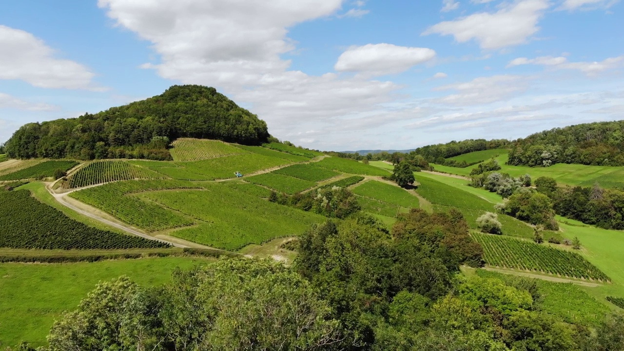 鸟瞰这个著名的葡萄酒村和周围的风景位于汝拉视频素材