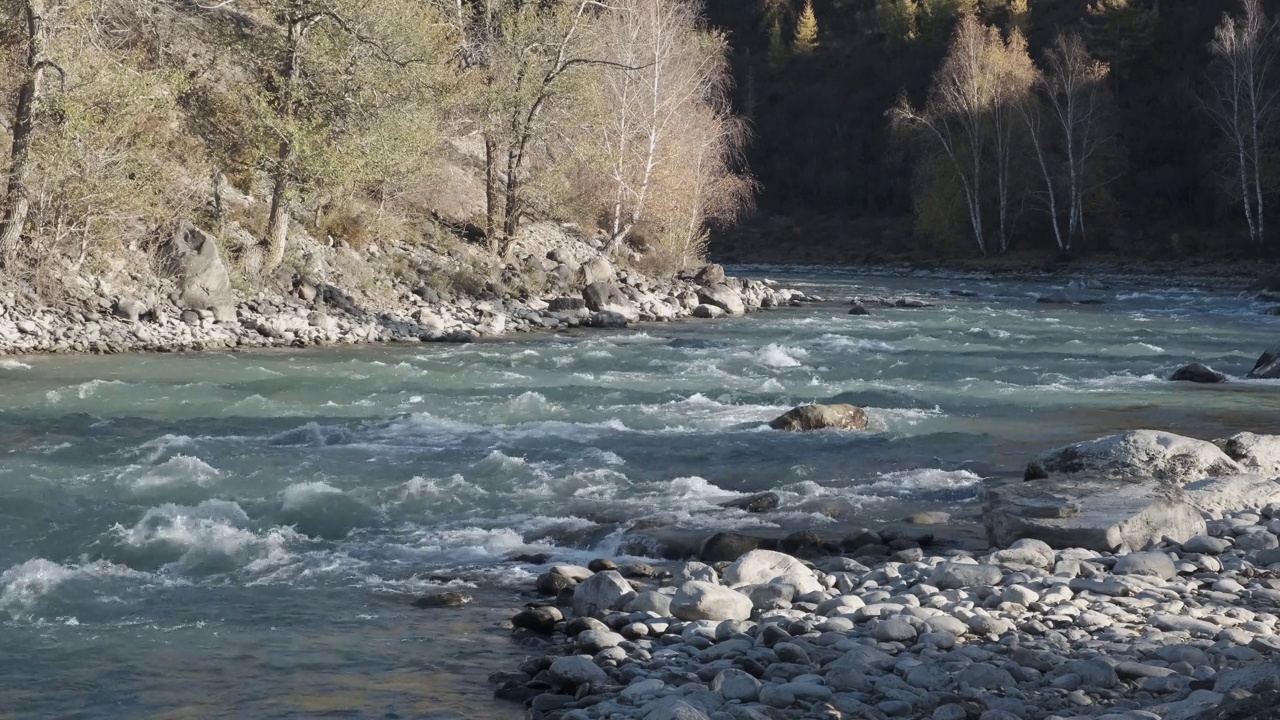 沸腾的水迅速流过石头。山间河流的秋天，慢镜头视频下载