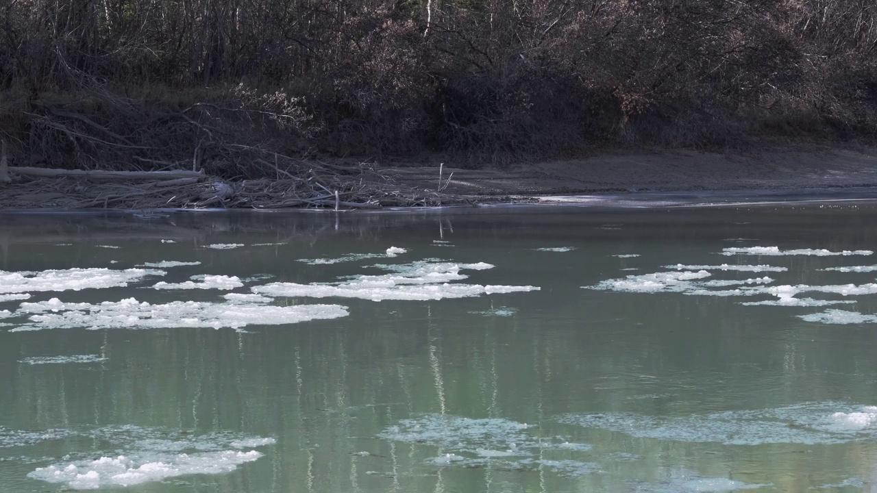 在阳光明媚的日子里，融化的冰块很快浮在水面上。Chuya,阿尔泰视频下载