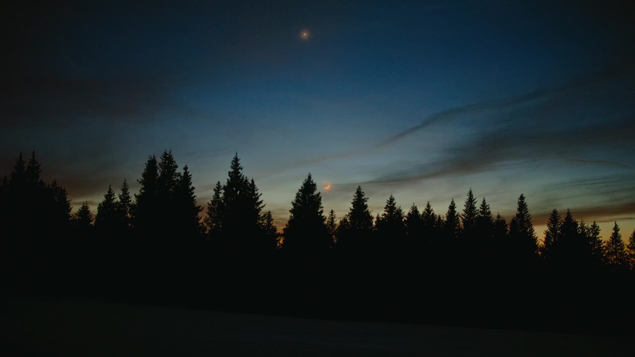 黄昏时分云杉林田园诗般的冬日景象视频素材