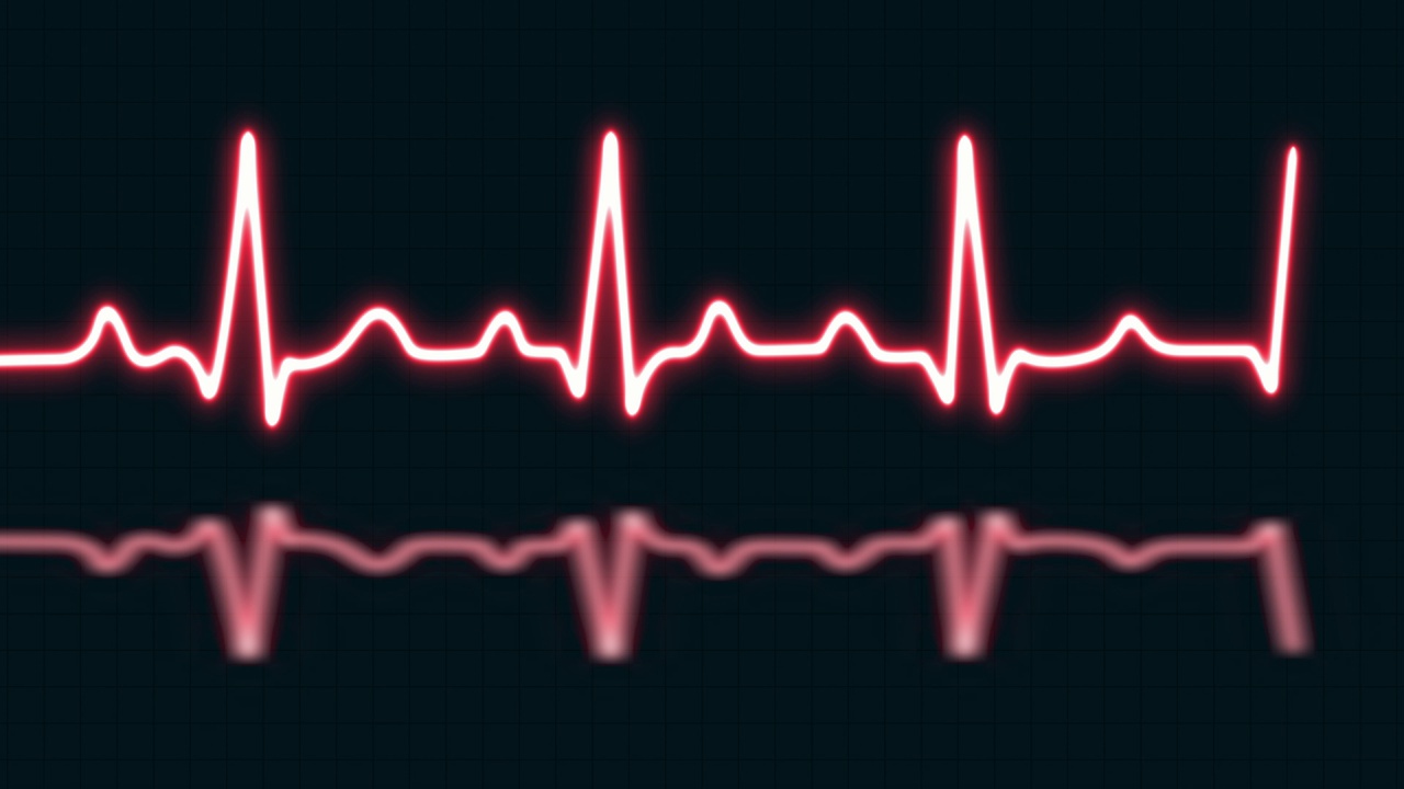 红色的心跳与爱的形状孤立在网格背景上。医学概念和心电脉搏曲线图视频下载