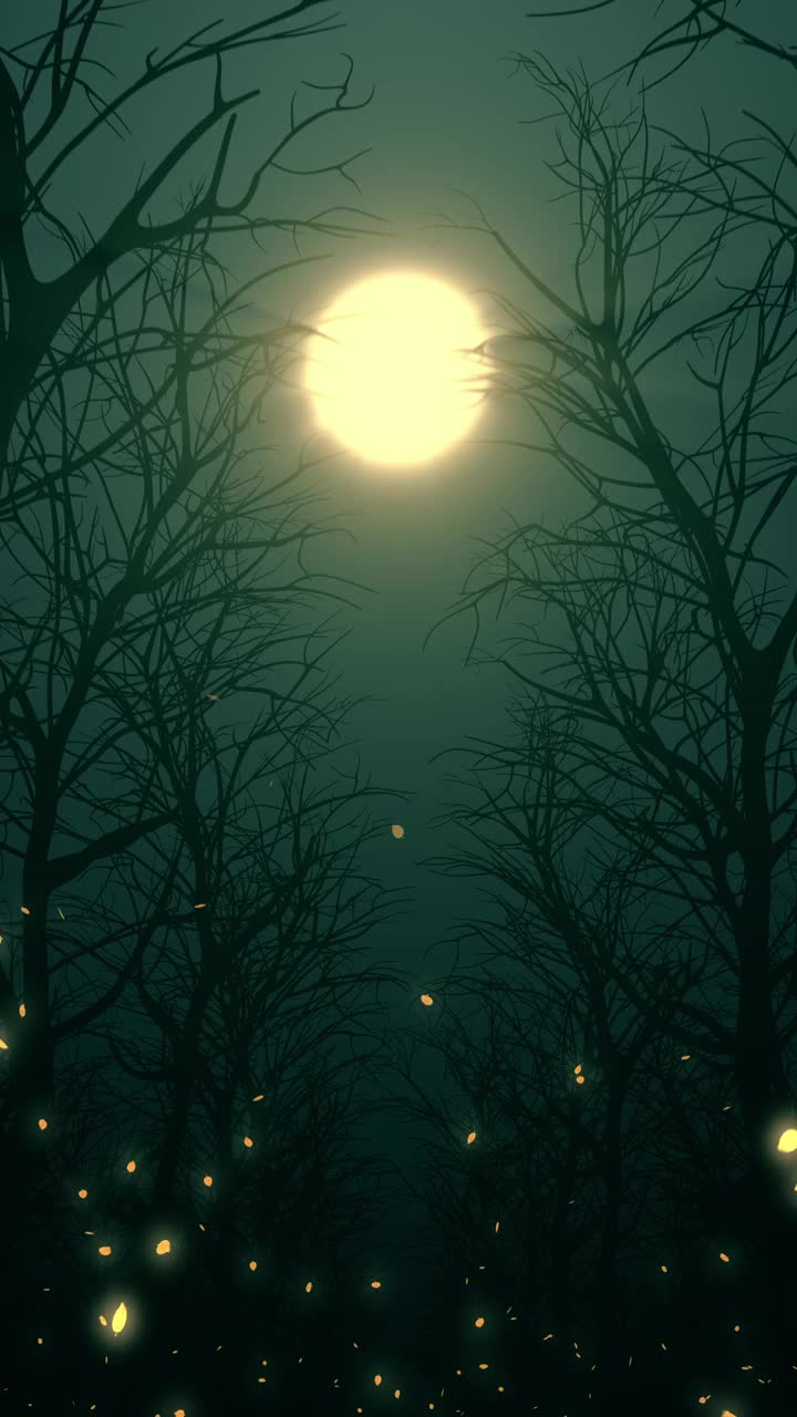 月光的垂直影像照亮了秋天森林里的落叶视频下载