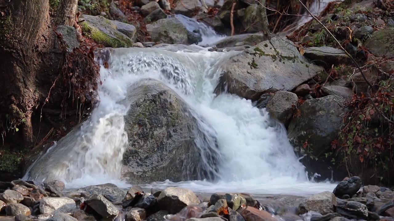 西班牙蒙特塞尼山秋季山毛榉林中的小溪瀑布视频下载