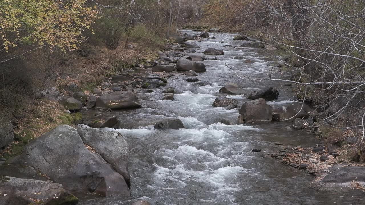 沸腾的水迅速流过石头。秋天的山河视频下载