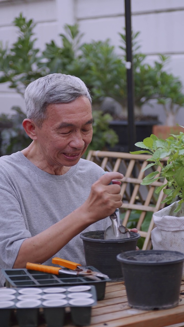 垂直夹。快乐的退休老人花时间在家种植植物。一位亚洲老人在家里做园艺。视频下载