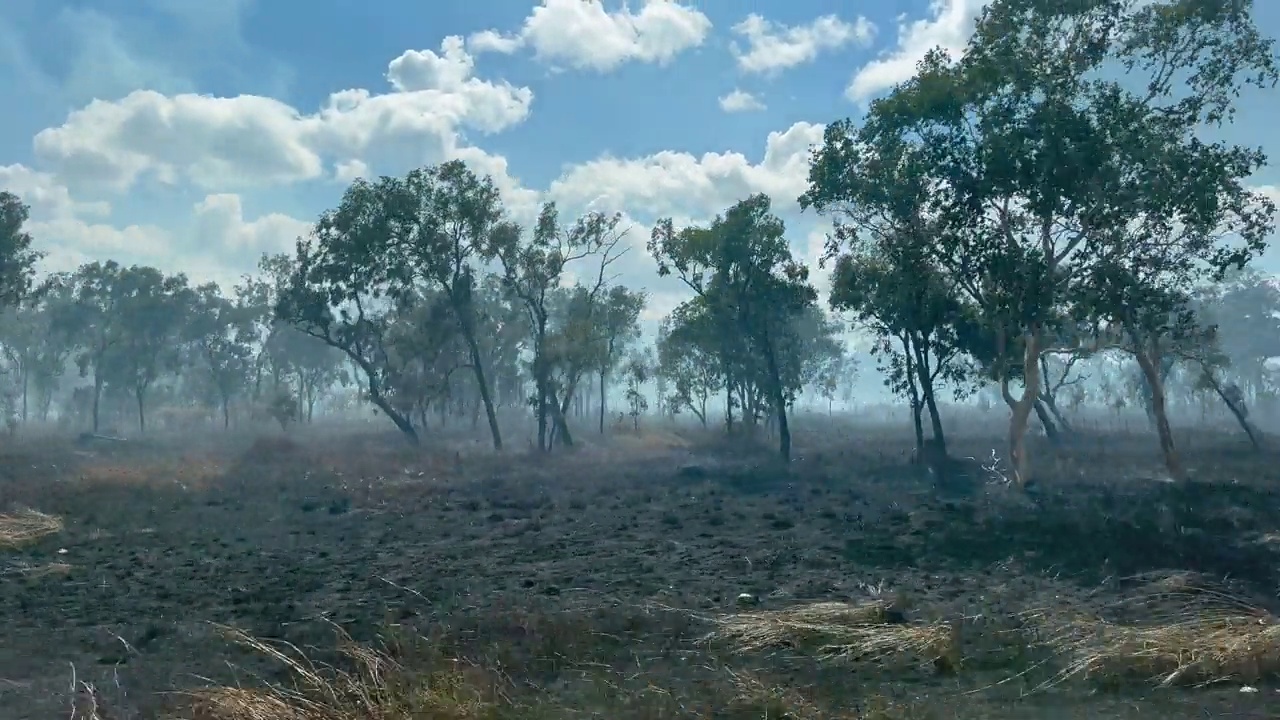 澳大利亚昆士兰州约克角丛林大火视频下载