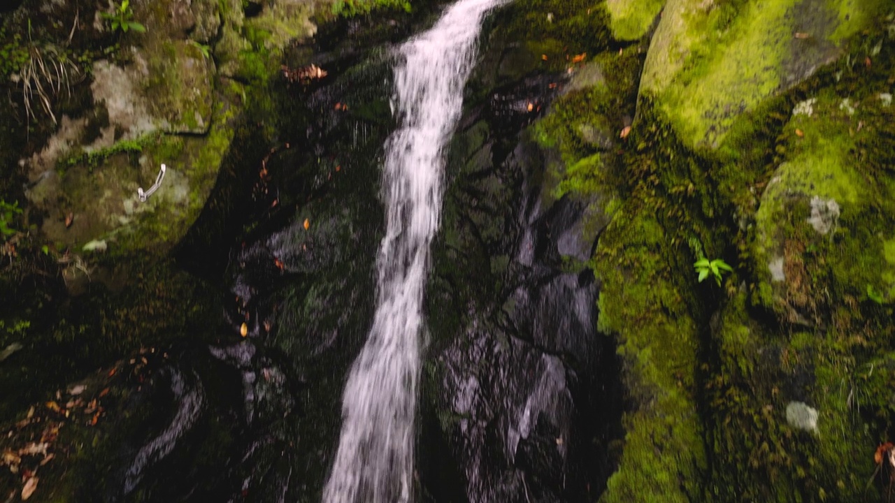 葡萄牙马德拉群岛的瀑布。视频下载