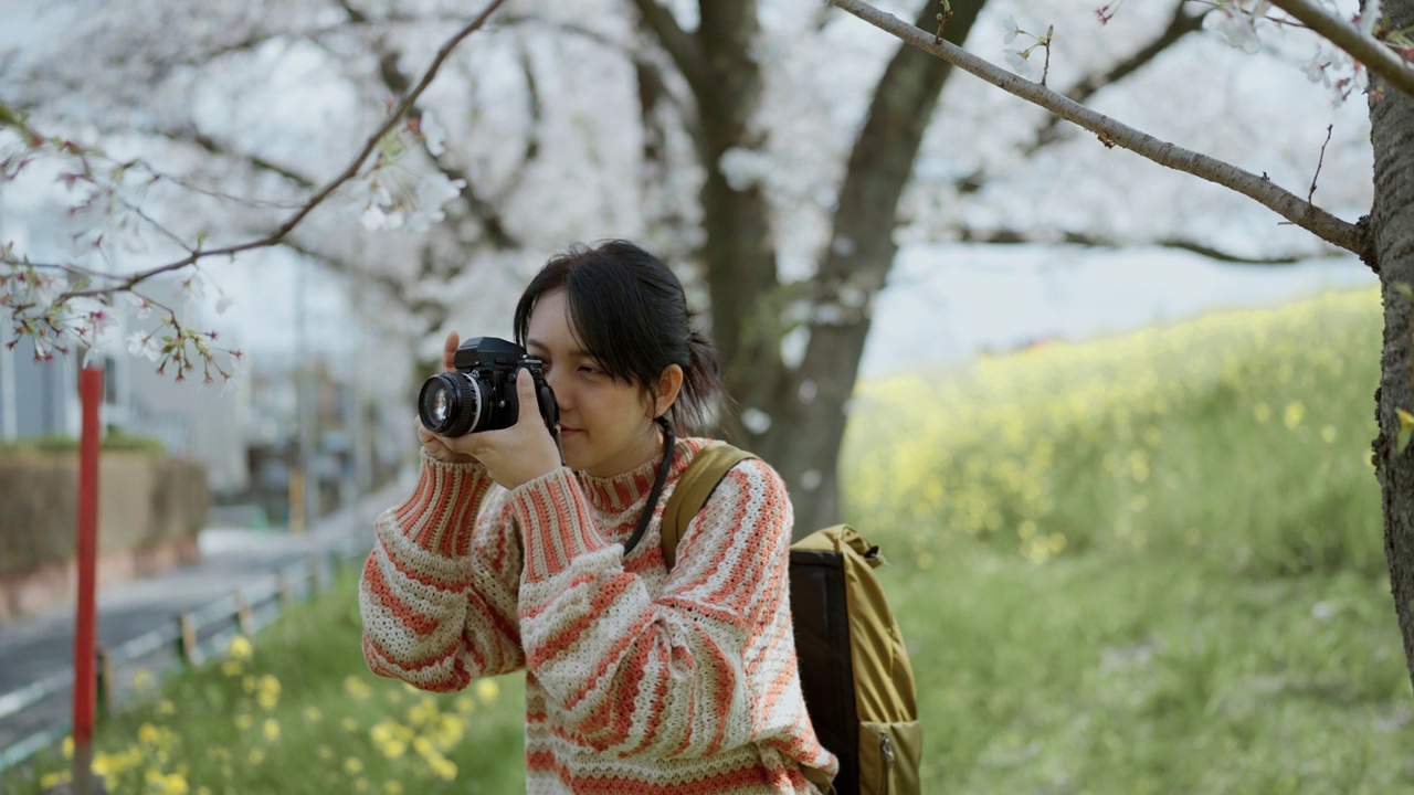 亚洲女性旅行者在假期用相机拍摄樱花视频下载