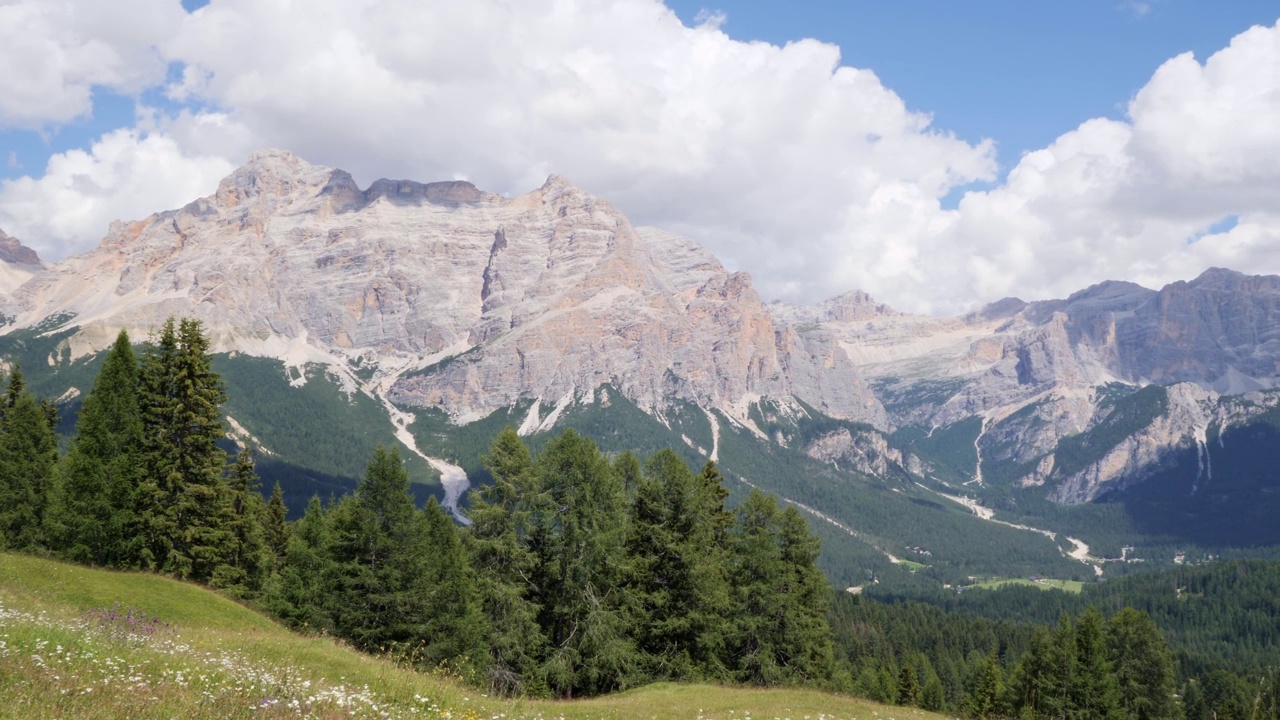 绿色的草地，冷杉树和意大利阿尔卑斯山在一个夏天的背景，意大利视频下载