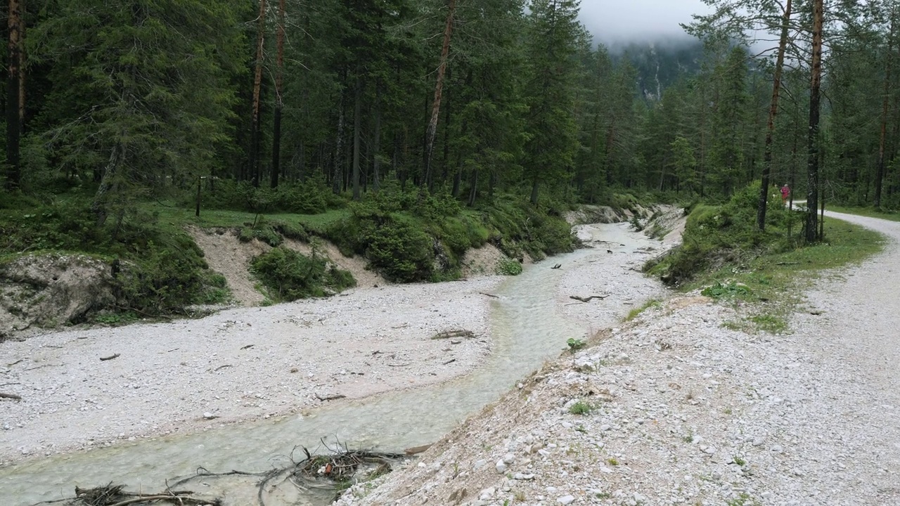 沉浸在意大利阿尔皮山自然公园森林中的山间小道上的水道视频下载