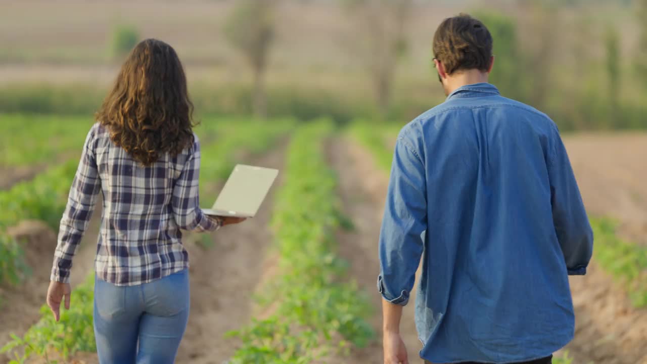 后视图西班牙裔男子和妇女农民手持笔记本电脑进行研究可持续性和增长分析。农业、种植园和园艺概念视频下载
