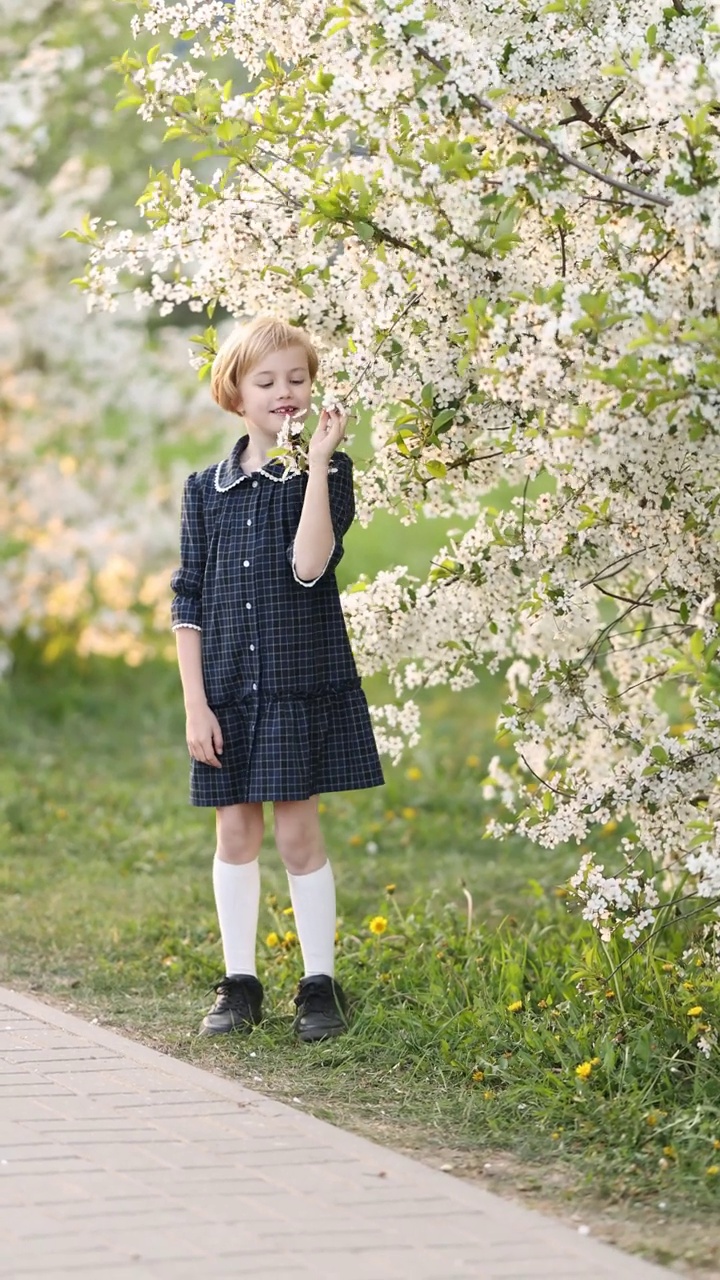 女孩在盛开的苹果园里视频素材