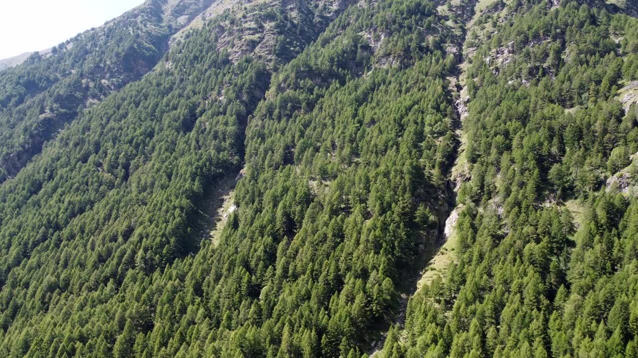 阿尔卑斯山上有树的山坡鸟瞰图视频下载