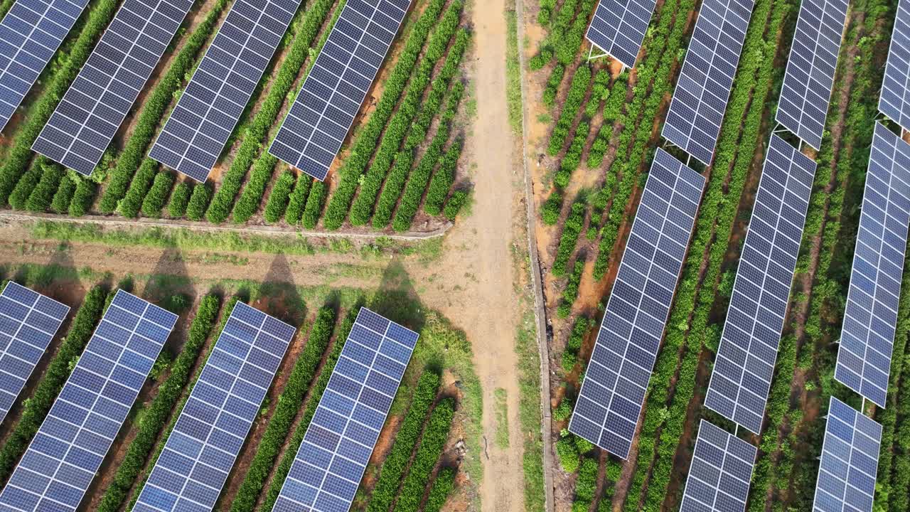 太阳能发电站鸟瞰图视频下载