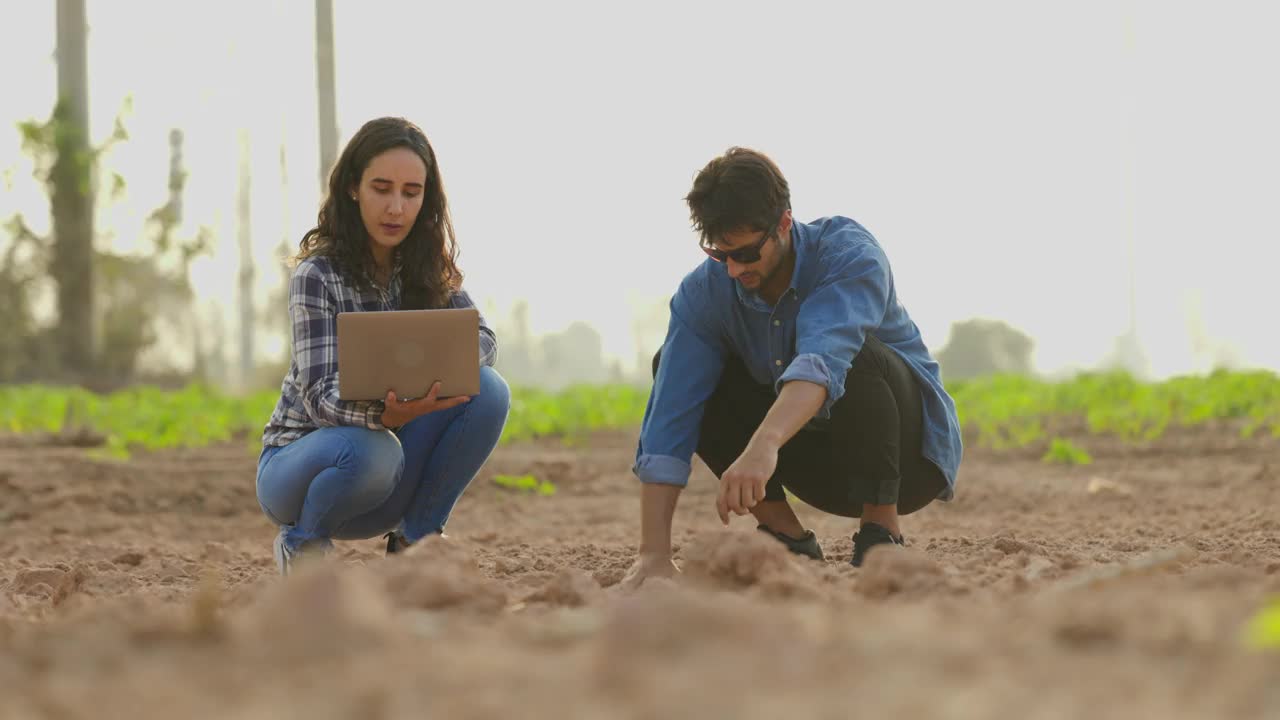 西班牙裔一男一女农民手里拿着土壤，在笔记本电脑上播种数据前检查土壤质量。农业。种植及园艺概念视频下载