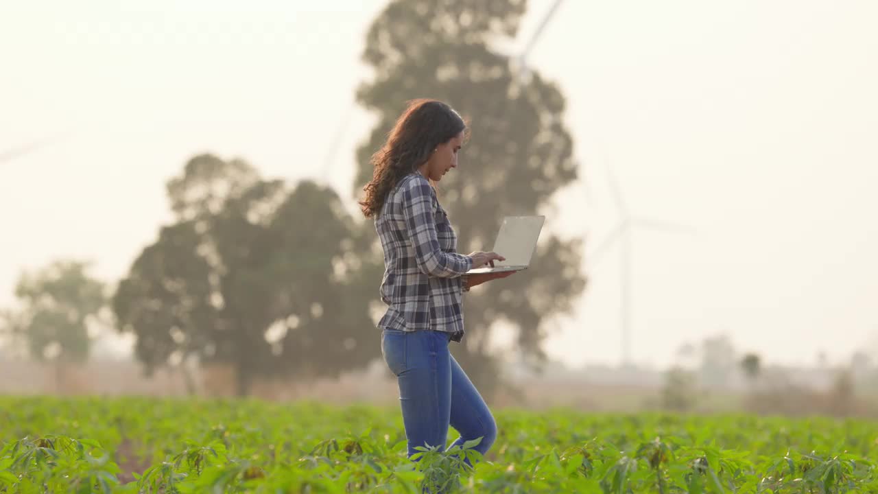 西班牙裔妇女农民手里拿着笔记本电脑研究可持续性和增长分析。农业、种植园和园艺概念视频下载