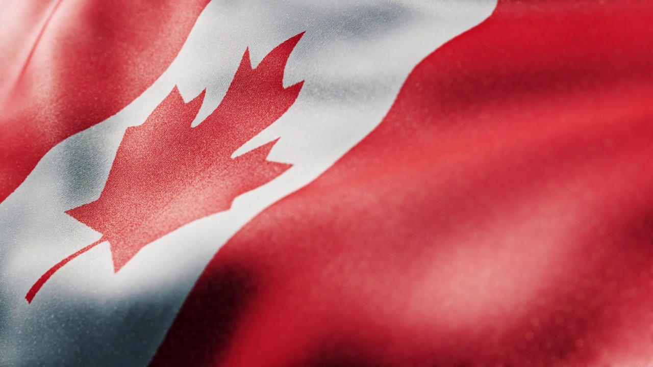 挥舞着加拿大国旗。缓慢的运动。三维渲染视频下载