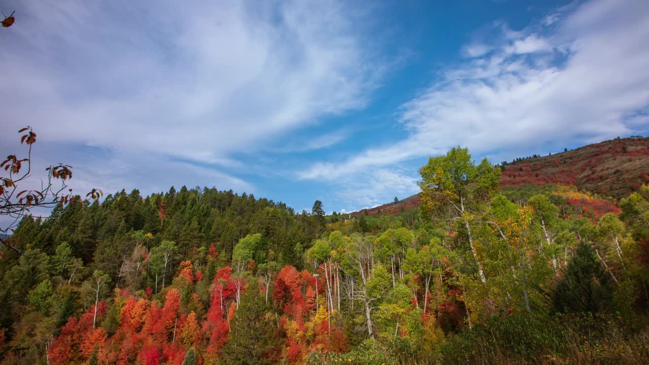 延时拍摄-令人惊叹的秋日秋叶山和蓝色的天空视频下载