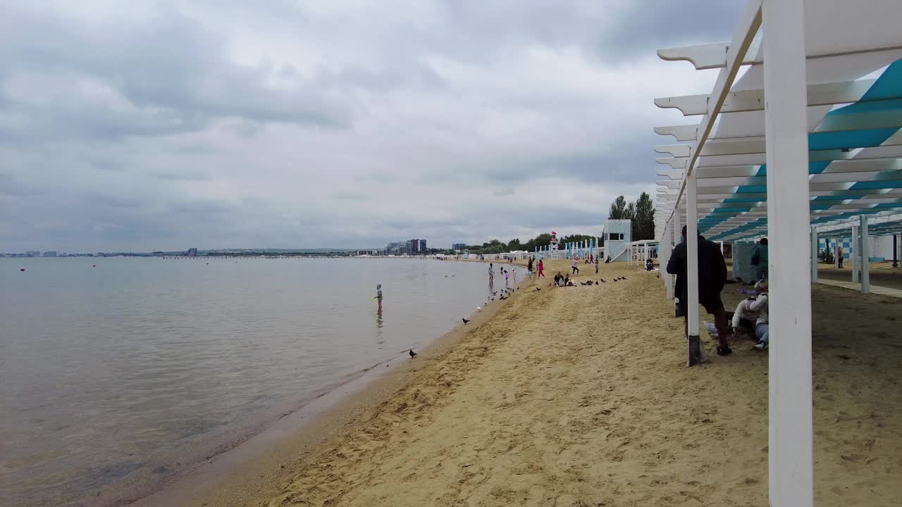 人们在黑海的沙滩上休息，旁边是白天鹅。视频下载