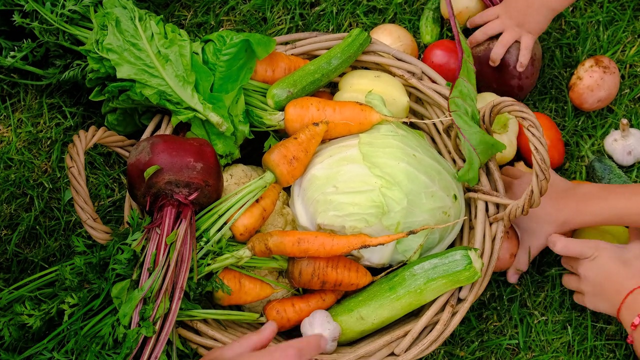 一家人在花园里用篮子收割蔬菜。有选择性的重点。食物。视频下载