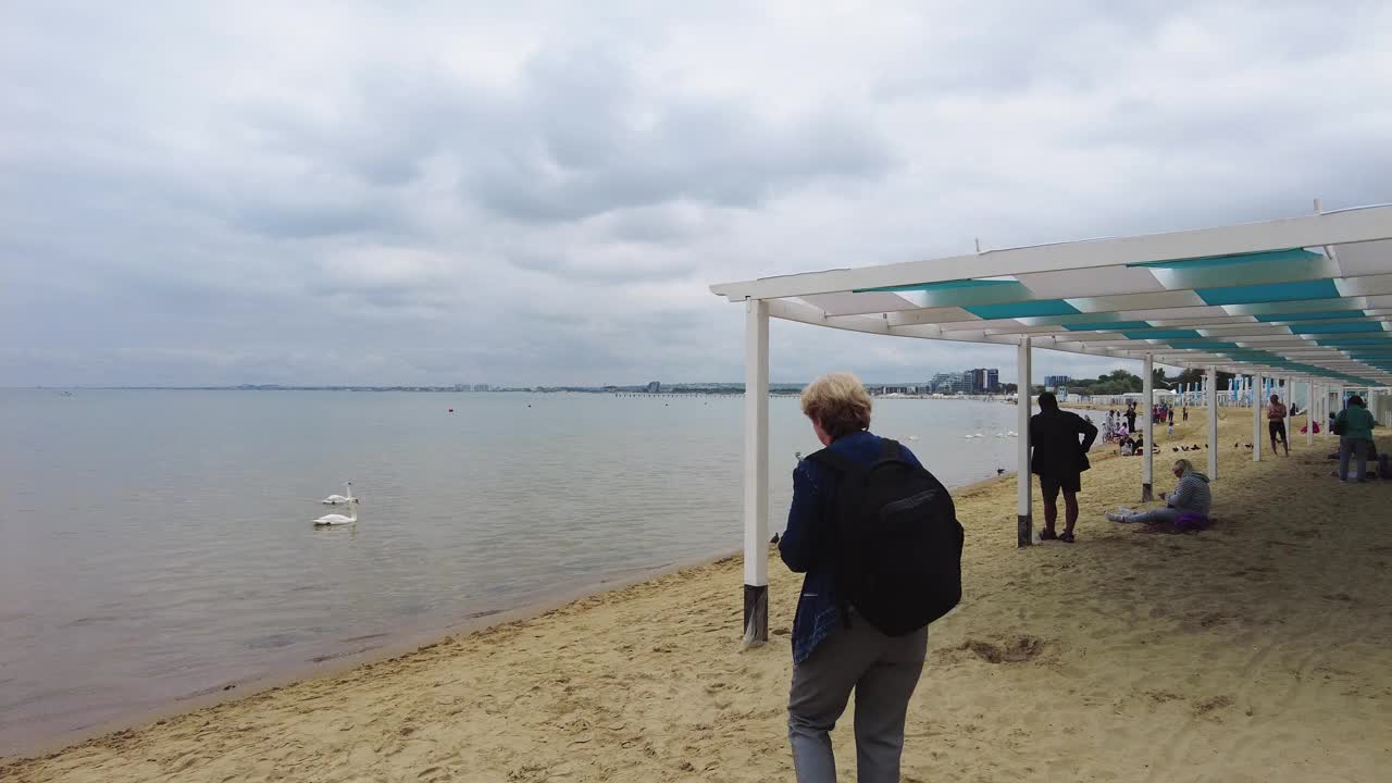 人们在黑海的沙滩上休息，旁边是白天鹅。视频下载