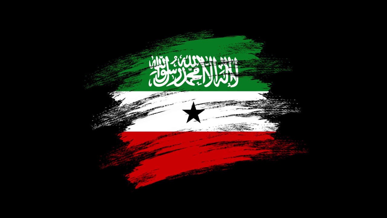 4K油漆刷索马里兰国旗与Alpha通道。挥舞着刷过的索马里兰旗帜。透明背景纹理织物图案高细节。视频下载