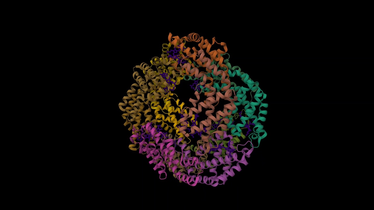 紫Gloeobacter violaceus的光收集蛋白异藻蓝蛋白的结构视频素材