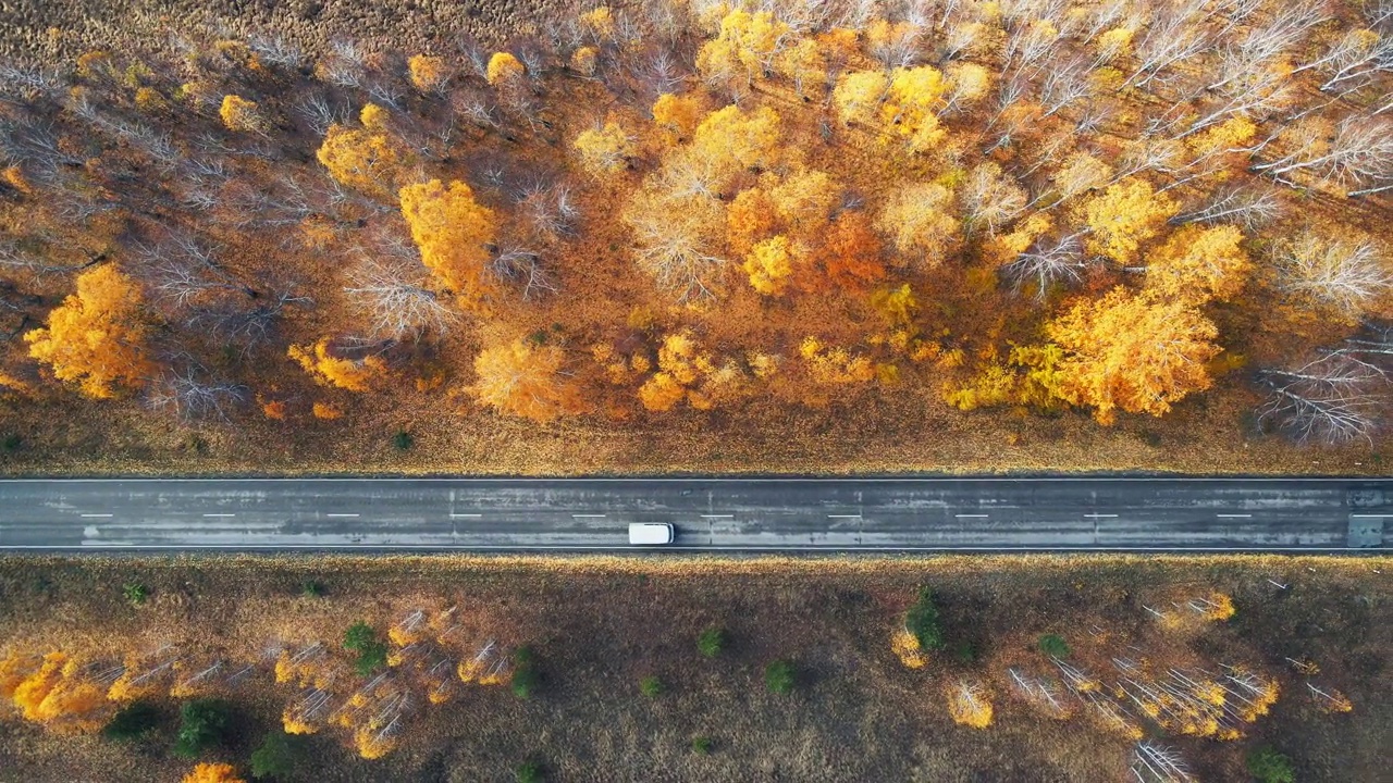 路与黄树在秋天的日落山。视频购买