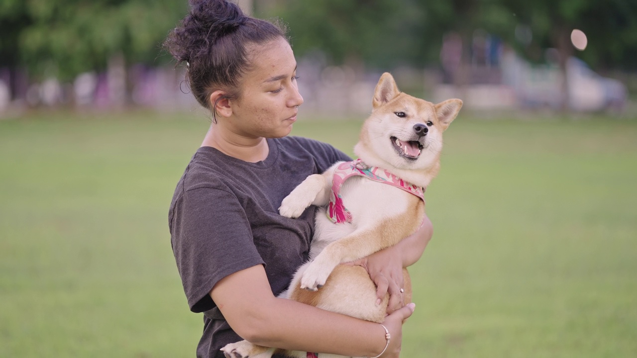 慢镜头:在公园的绿色草坪上，一名快乐的亚洲女子深情地把她的柴犬抱在怀里，露出露齿的微笑，而狗狗在她怀里打滚，不小心吻了她的脸颊。视频素材