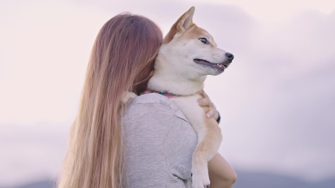 在明亮的天空背景下，一名亚洲女子在国家公园散步，她抱着她的柴犬，轻轻地抚摸它，以此来表达对它的爱。视频素材