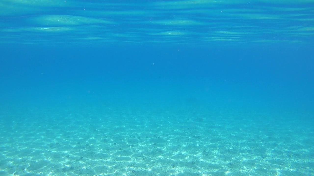 地中海水晶般清澈的海水水下景观视频下载
