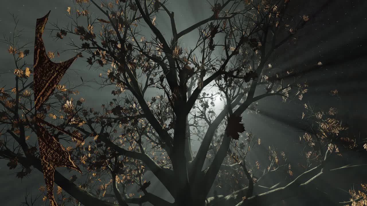 秋天的树在雾或薄雾中飘落着黄叶。相机在树枝下仰望着月光，透过迷雾投射出光线和阴影视频下载