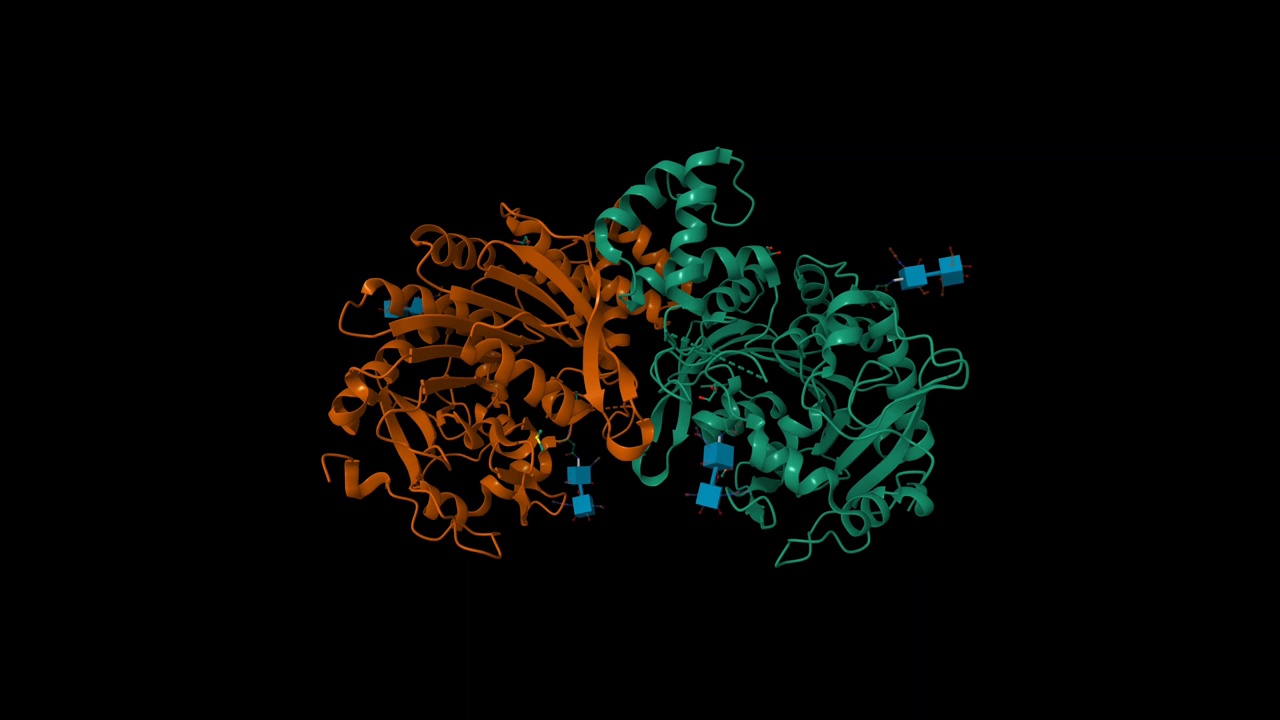 组织蛋白酶A的晶体结构，载脂蛋白结构。视频下载
