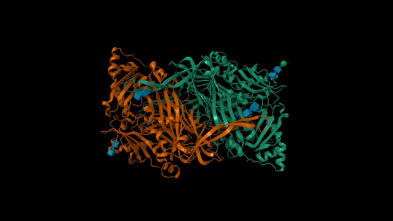 人二胺氧化酶的晶体结构视频素材