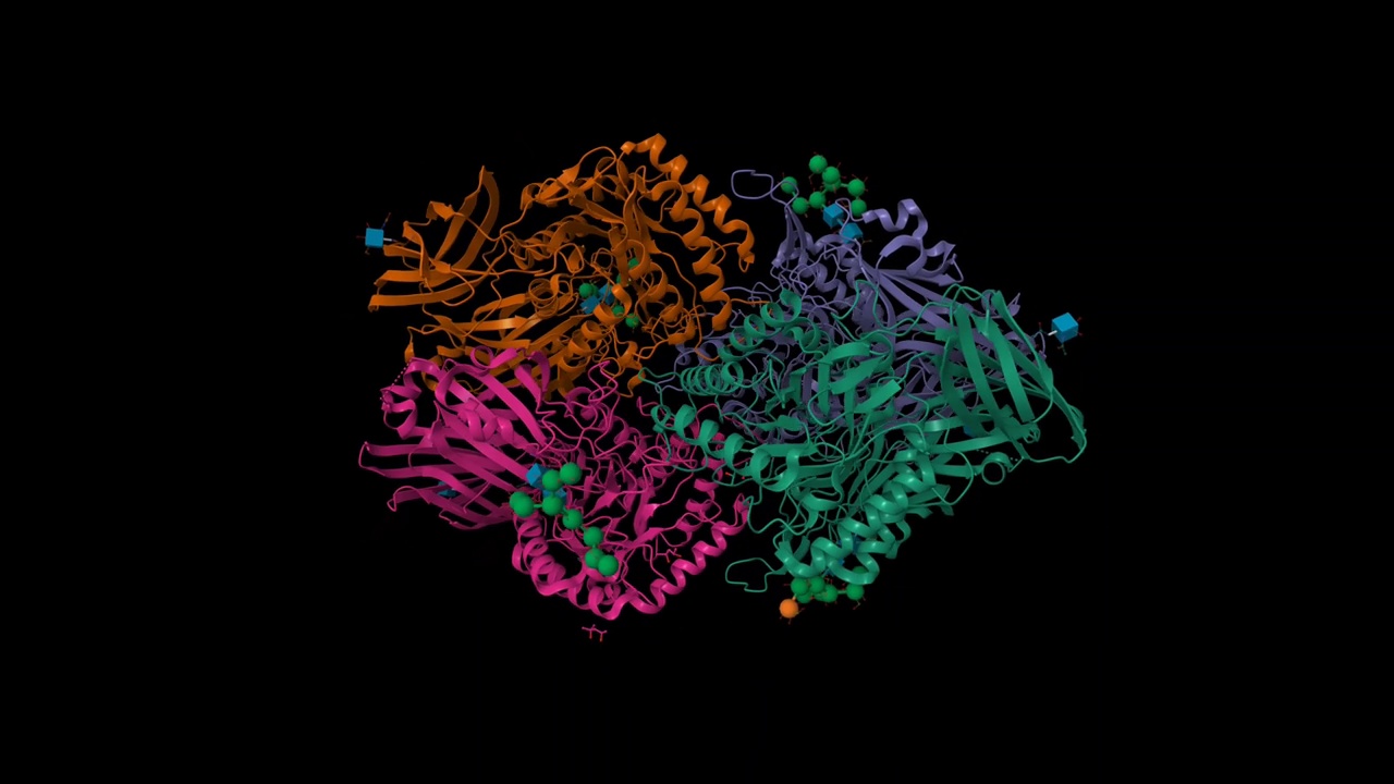 人-葡糖苷酸酶的结构视频素材