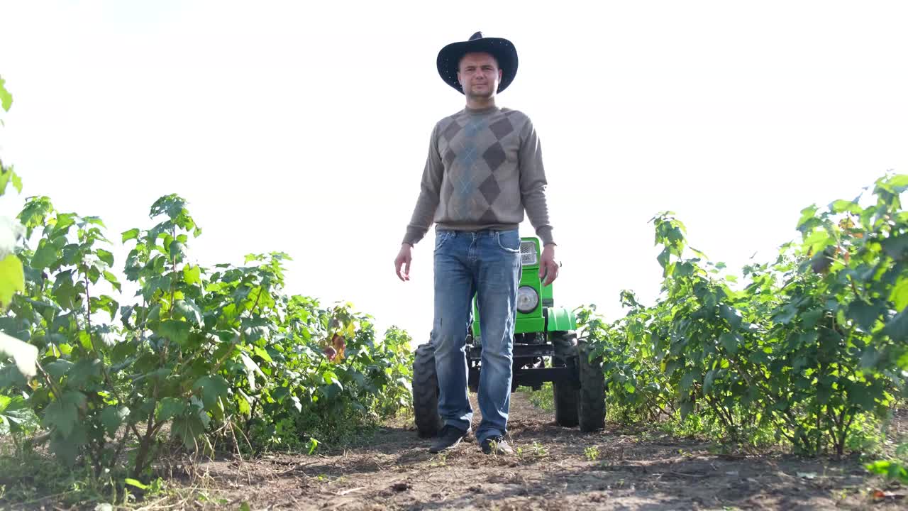 一位年轻的美国农民视察新葡萄园的种植园。葡萄园种植视频下载