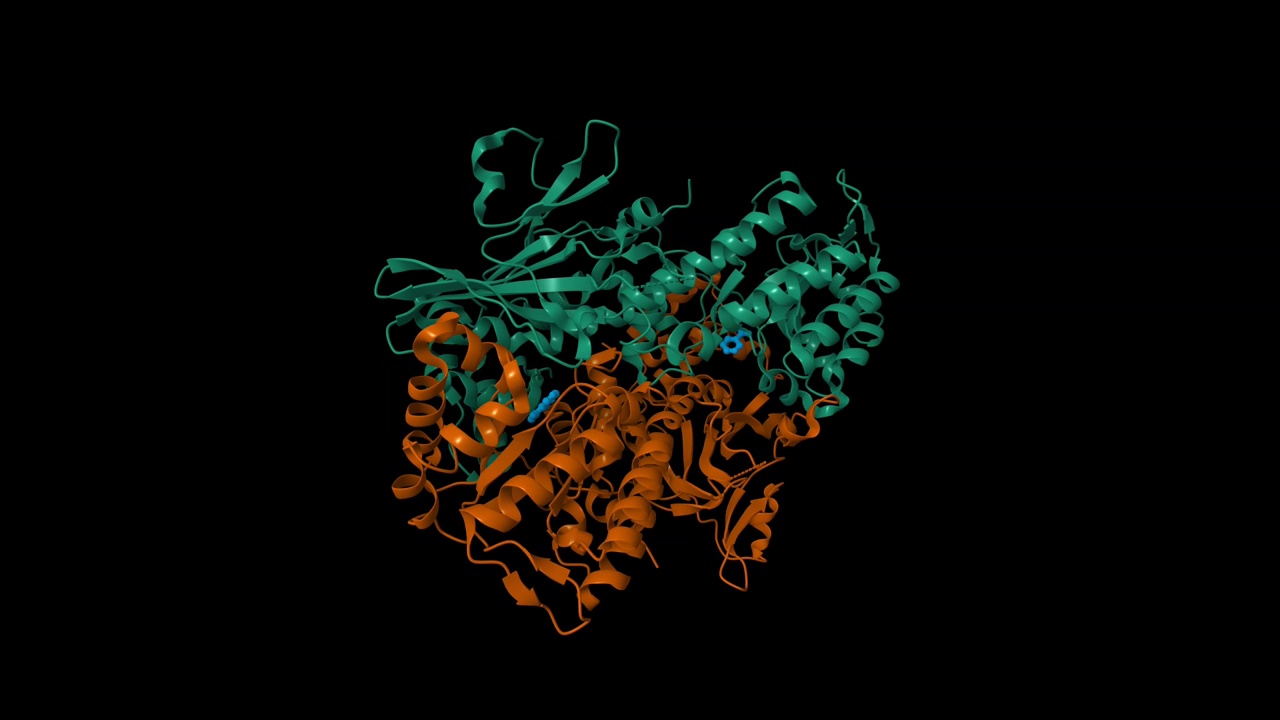 人烟酰胺磷酸核糖基转移酶(NMPRTase)与烟酰胺(蓝色)络合的晶体结构视频素材