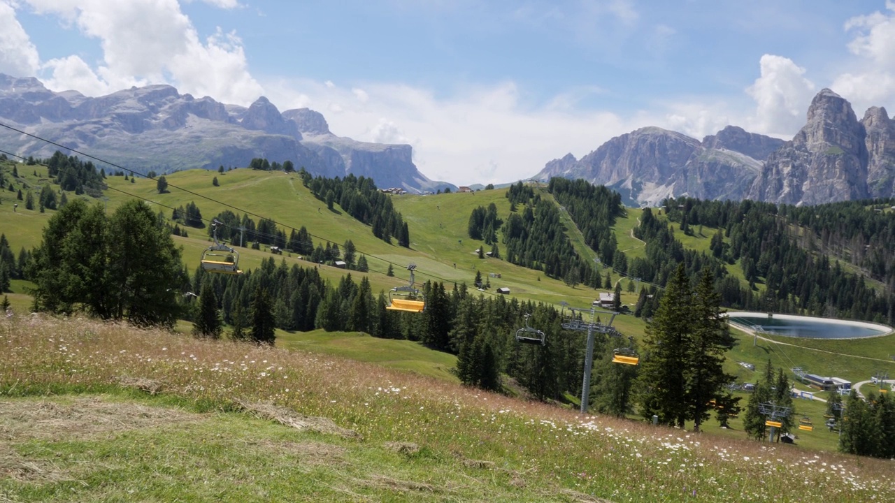绿色的草地，冷杉树和意大利阿尔卑斯山在一个夏天的背景，意大利视频下载