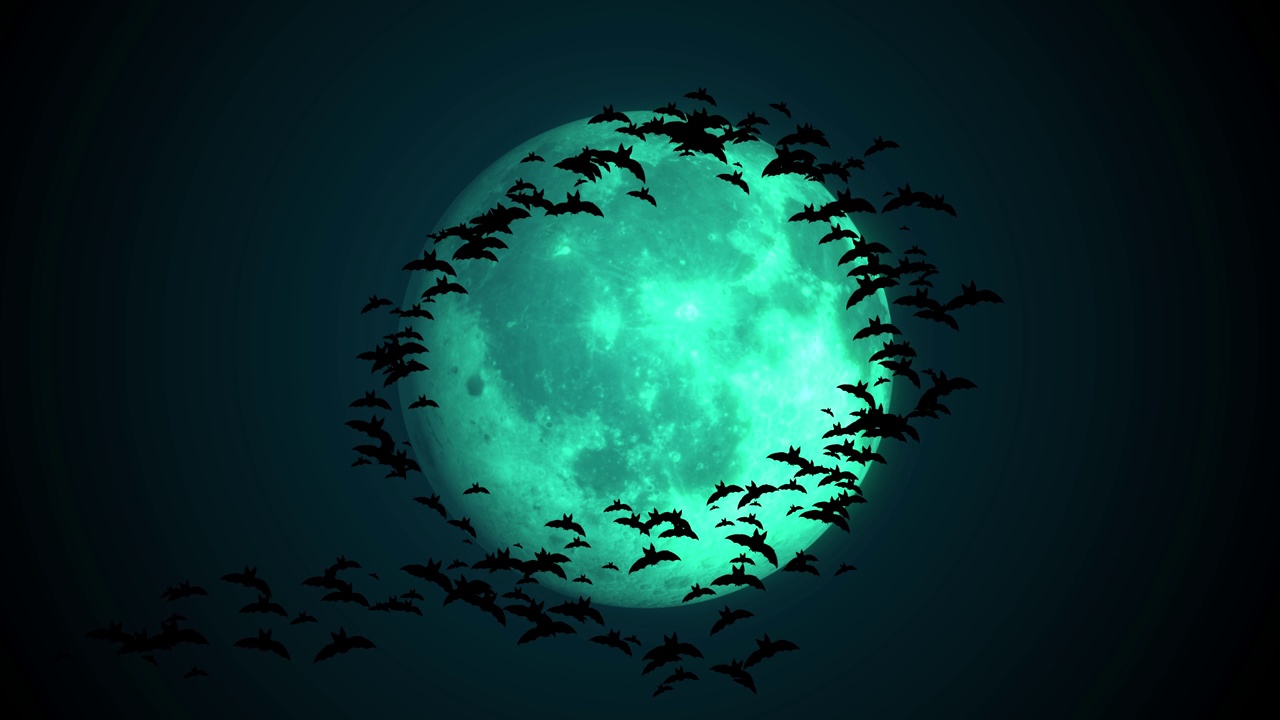 蝙蝠在月亮和天空的夜晚飞行。万圣节之夜，黑色蝙蝠在天空中飞翔，剪影蝙蝠在万圣节派对之夜飞翔，黑暗中许多飞行蝙蝠的循环动画视频下载