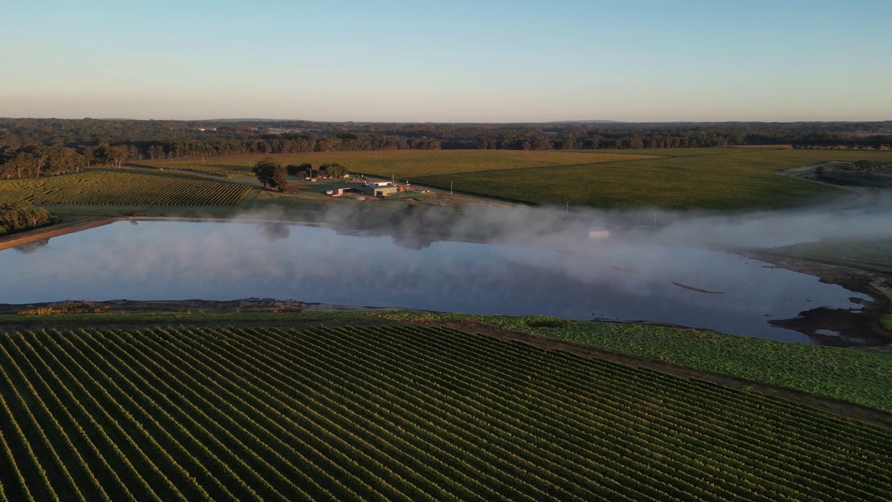 电影无人机拍摄的雾气在日出时被美丽的葡萄园包围的湖上飞行视频素材