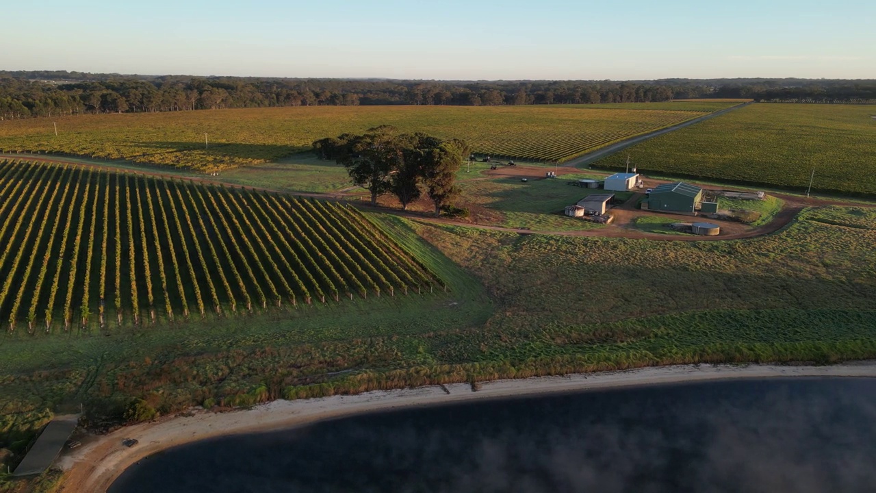 鸟瞰图农舍与私人葡萄园田在日落时间在澳大利亚乡村视频素材