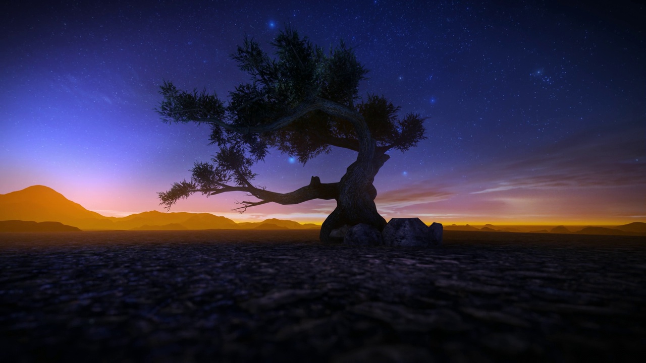 沙漠中孤独的树对着星空，4k视频下载