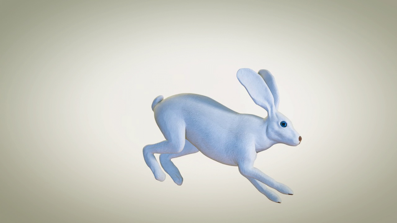 蓝眼睛白兔跑，复活节彩蛋找，循环视频下载