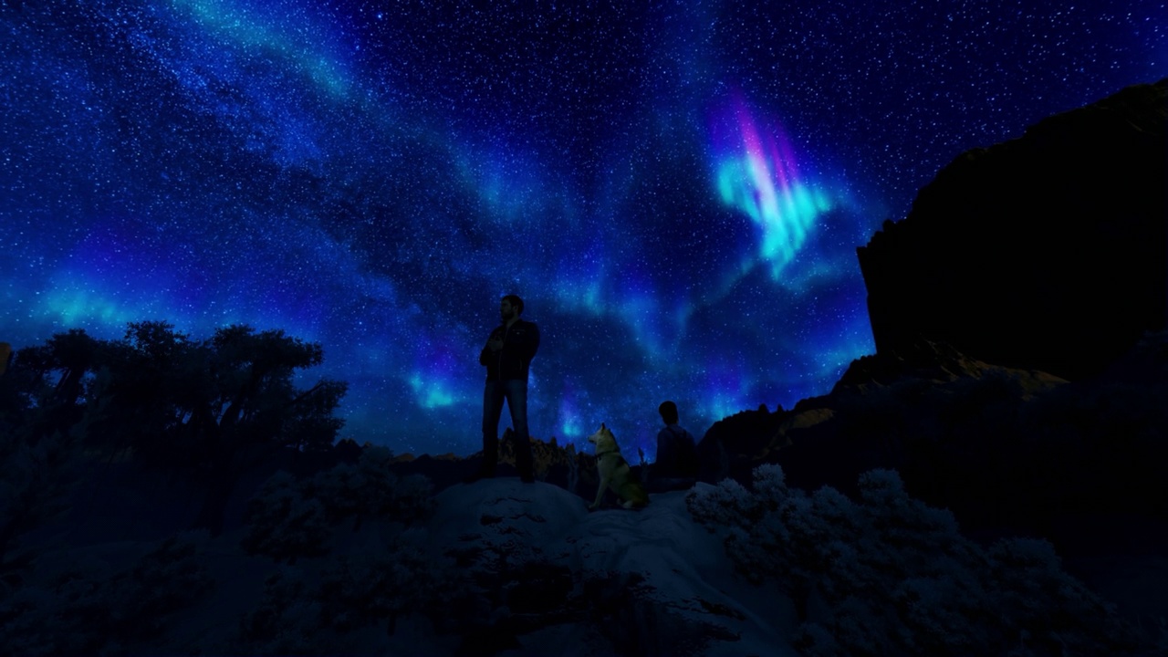 一对夫妇和狗欣赏星空下的北极光，广角镜头放大视频下载