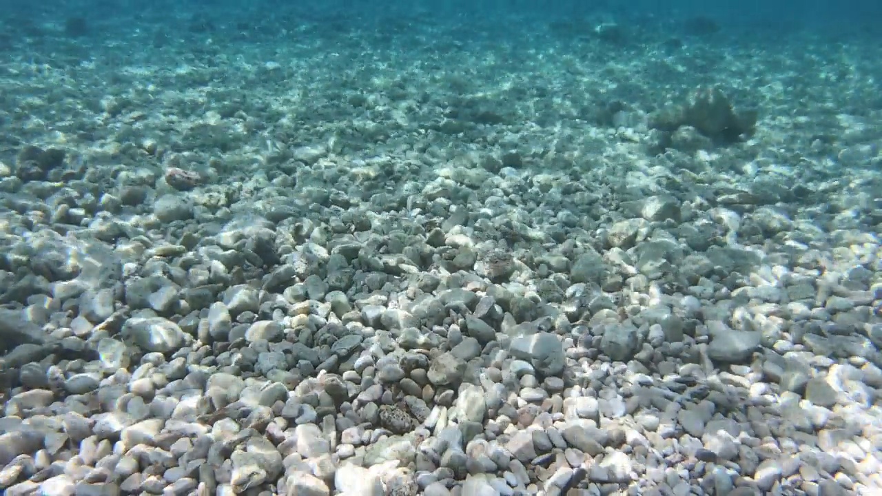 地中海清澈海水的水下景观视频下载