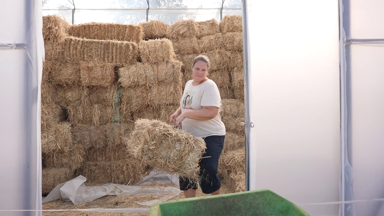 一位农妇在谷仓里为她的牲畜处理干草视频下载