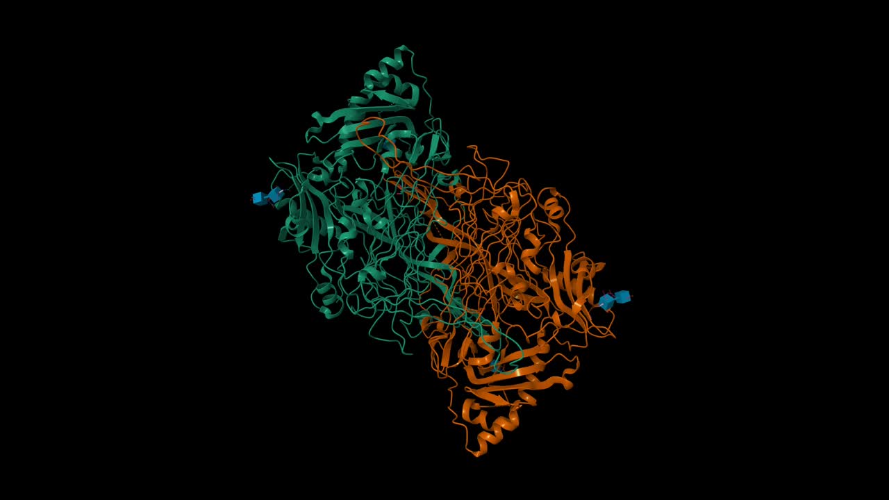 人血管粘附蛋白-1的晶体结构视频素材