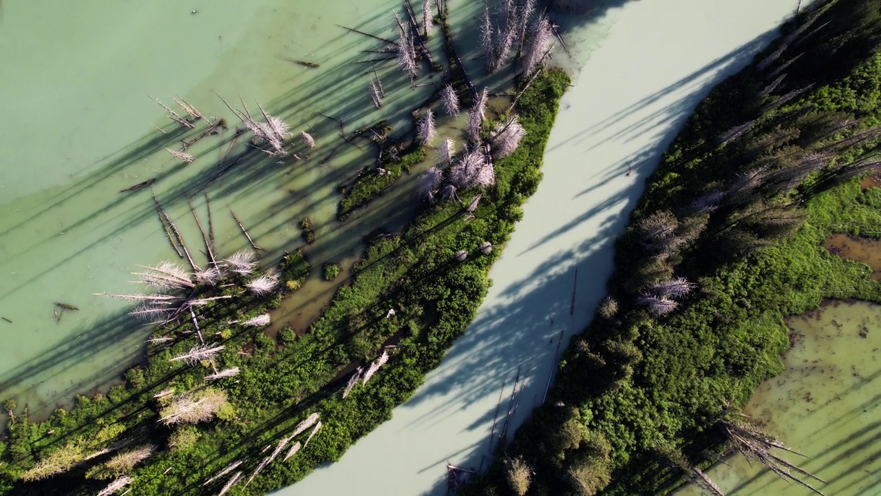 一条原始河流的鸟瞰图视频素材