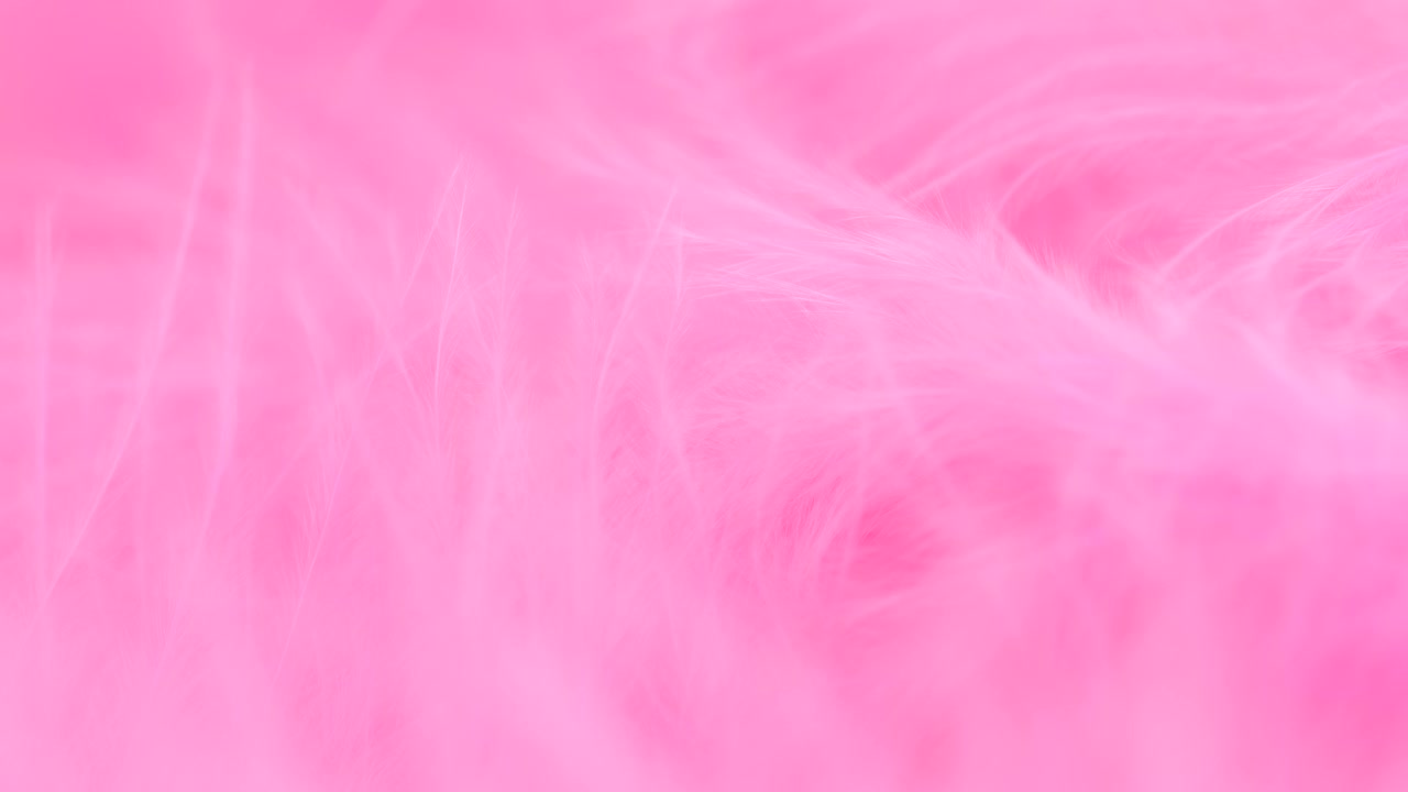 粉色羽毛特写。选择性对焦，慢动作羽毛背景。宏。粉色蓬松背景视频素材